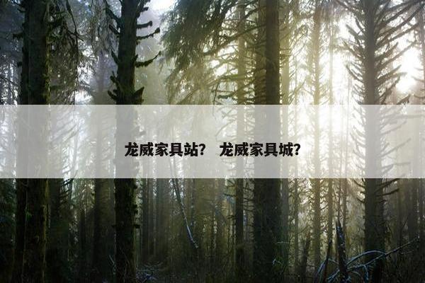 龙威家具站？ 龙威家具城？