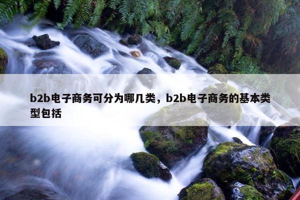 b2b电子商务可分为哪几类，b2b电子商务的基本类型包括