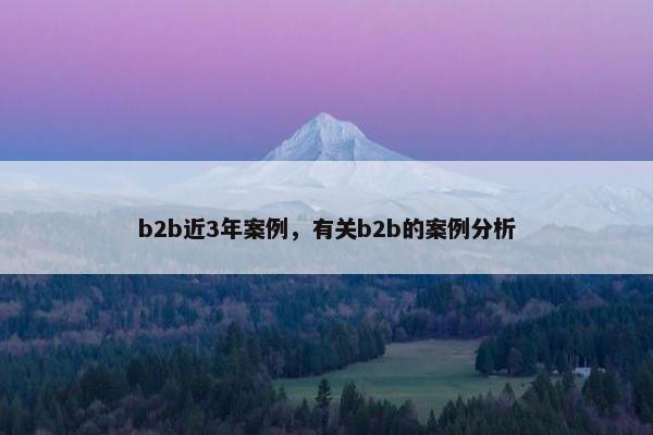 b2b近3年案例，有关b2b的案例分析
