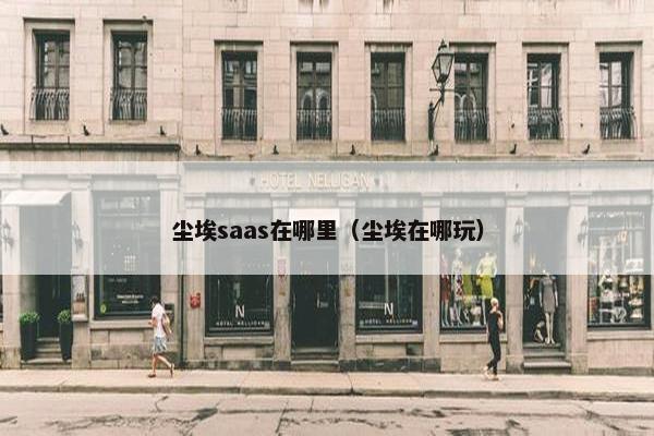 尘埃saas在哪里（尘埃在哪玩）