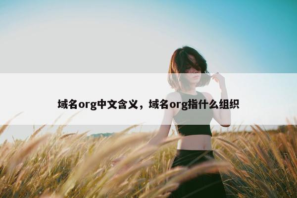 域名org中文含义，域名org指什么组织