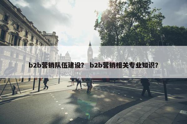 b2b营销队伍建设？ b2b营销相关专业知识？