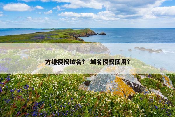 方维授权域名? 域名授权使用?