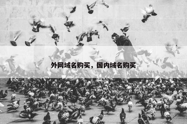 外网域名购买，国内域名购买