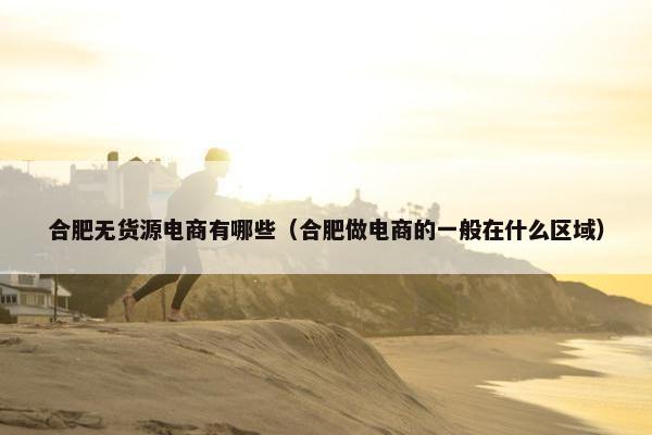 合肥无货源电商有哪些（合肥做电商的一般在什么区域）