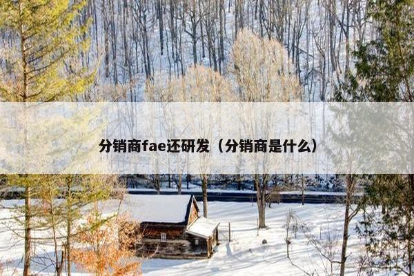 分销商fae还研发（分销商是什么）