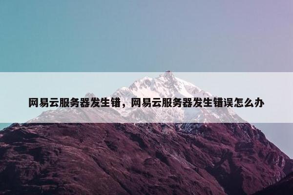 网易云服务器发生错，网易云服务器发生错误怎么办