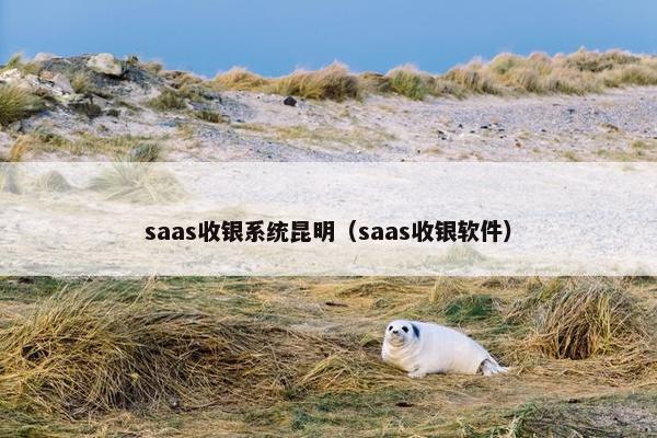 saas收银系统昆明（saas收银软件）