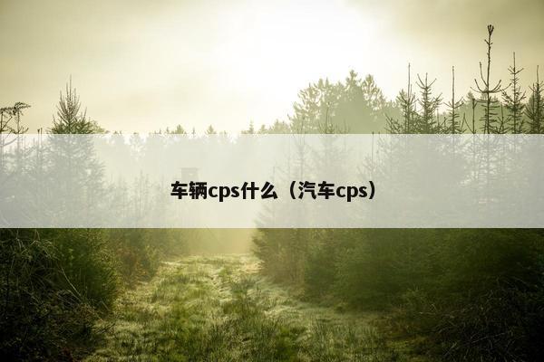 车辆cps什么（汽车cps）