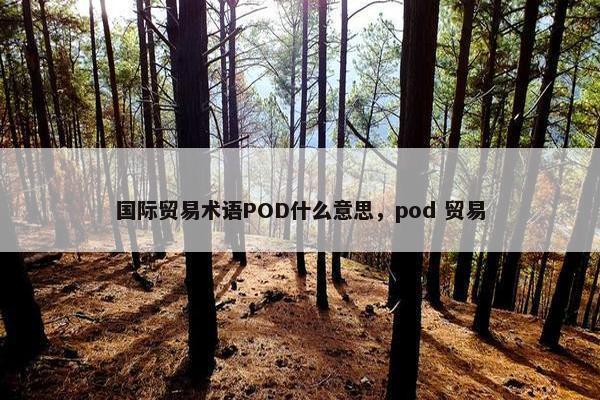 国际贸易术语POD什么意思，pod 贸易