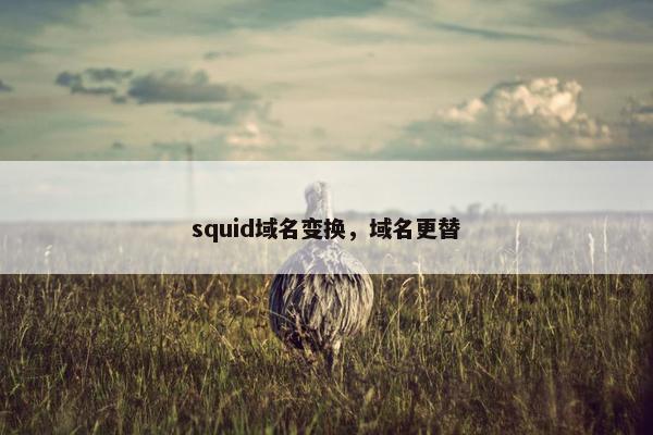 squid域名变换，域名更替