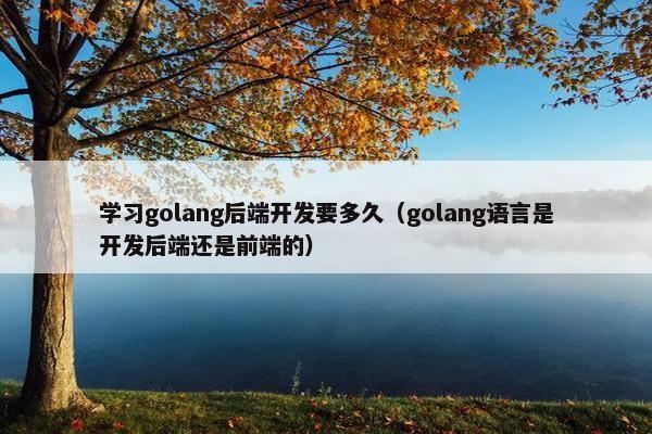学习golang后端开发要多久（golang语言是开发后端还是前端的）