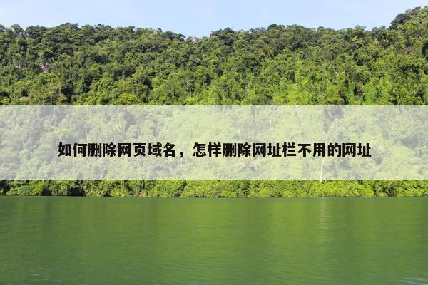 如何删除网页域名，怎样删除网址栏不用的网址