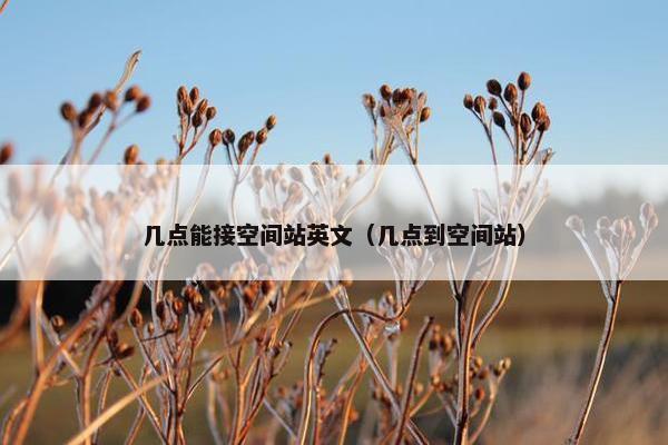 几点能接空间站英文（几点到空间站）