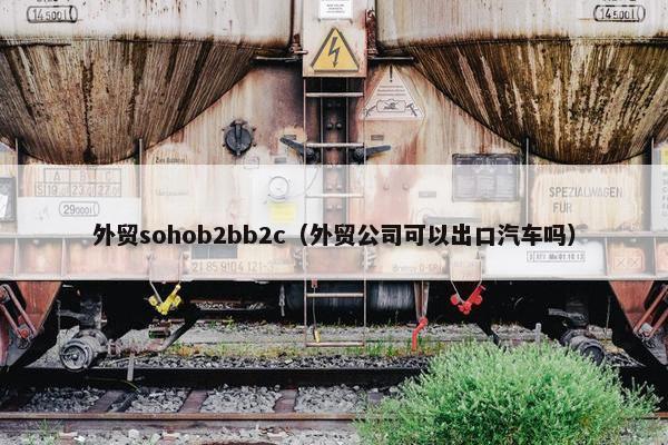 外贸sohob2bb2c（外贸公司可以出口汽车吗）