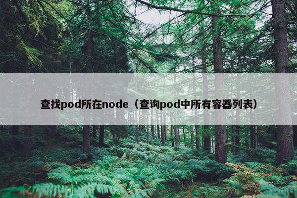 查找pod所在node（查询pod中所有容器列表）