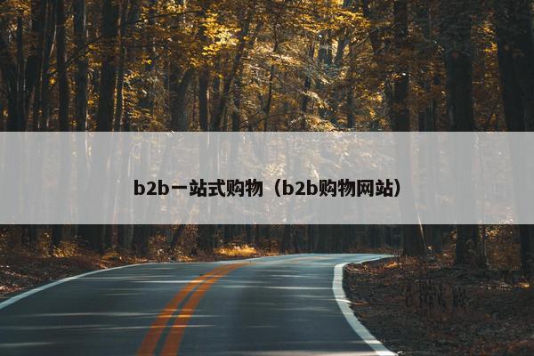 b2b一站式购物(b2b购物网站)