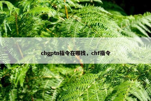 chgptn指令在哪找，chf指令