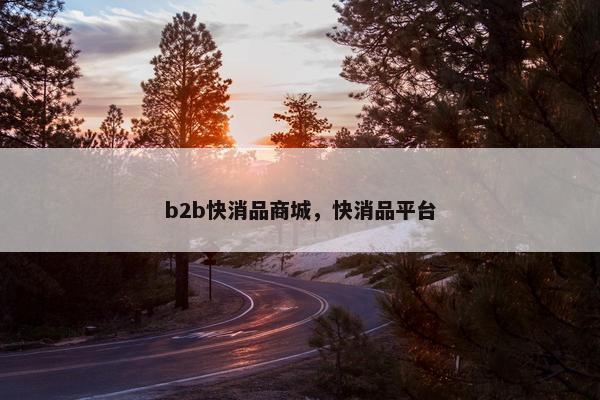 b2b快消品商城,快消品平台