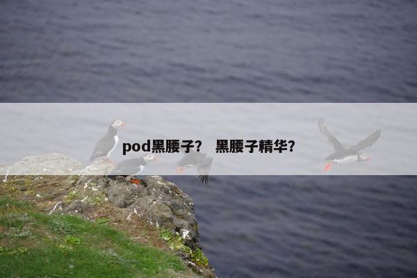 pod黑腰子？ 黑腰子精华？