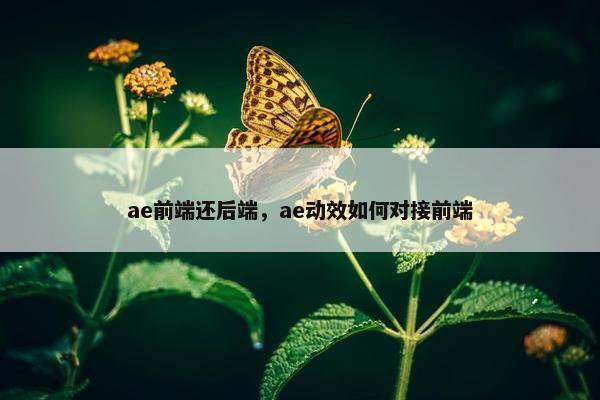 ae前端还后端,ae动效如何对接前端