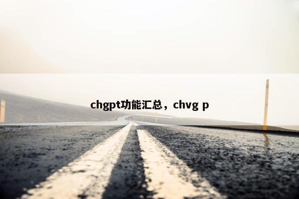 chgpt功能汇总,chvg p