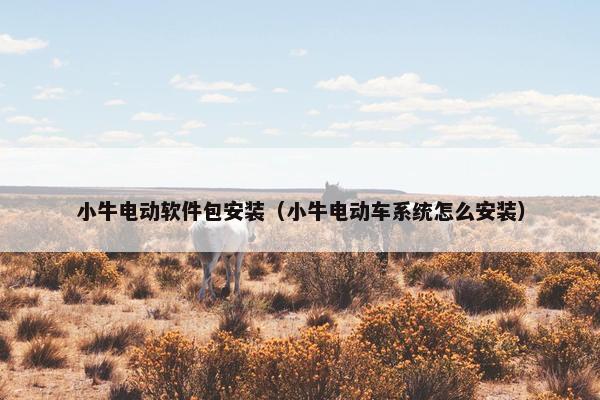 小牛电动软件包安装(小牛电动车系统怎么安装)