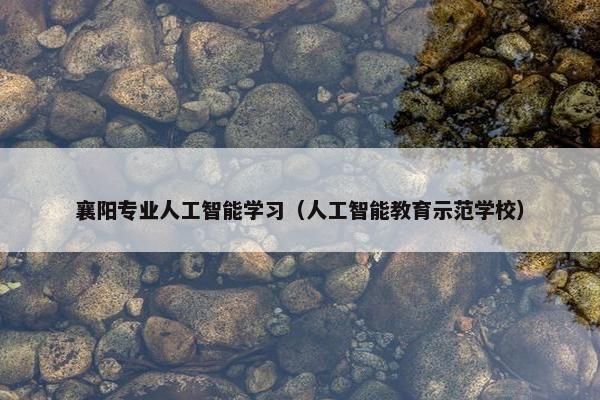 襄阳专业人工智能学习(人工智能教育示范学校)