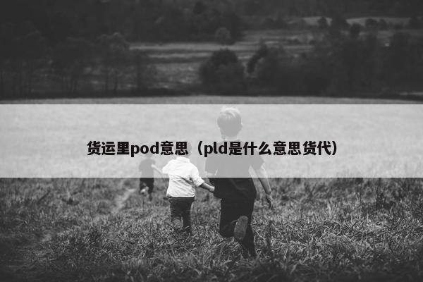 货运里pod意思(pld是什么意思货代)