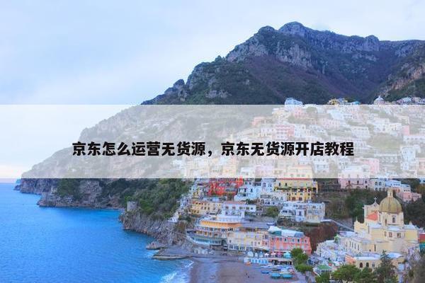 京东怎么运营无货源,京东无货源开店教程