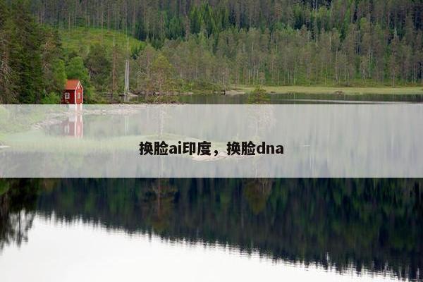 换脸ai印度,换脸dna
