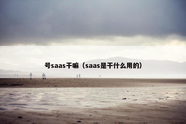 号saas干嘛(saas是干什么用的)