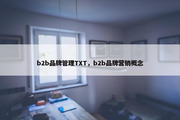 b2b品牌管理TXT,b2b品牌营销概念