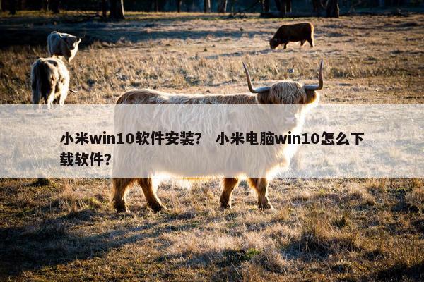 小米win10软件安装？ 小米电脑win10怎么下载软件？