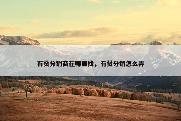 有赞分销商在哪里找，有赞分销怎么弄