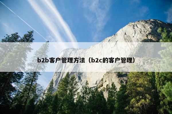 b2b客户管理方法(b2c的客户管理)