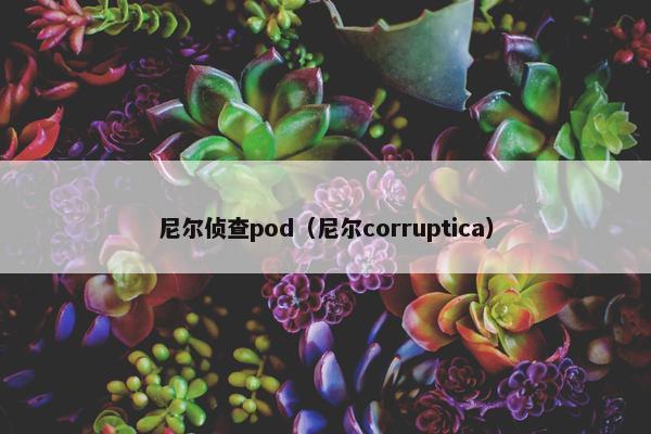 尼尔侦查pod(尼尔corruptica)