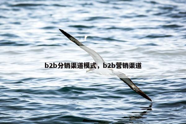 b2b分销渠道模式,b2b营销渠道