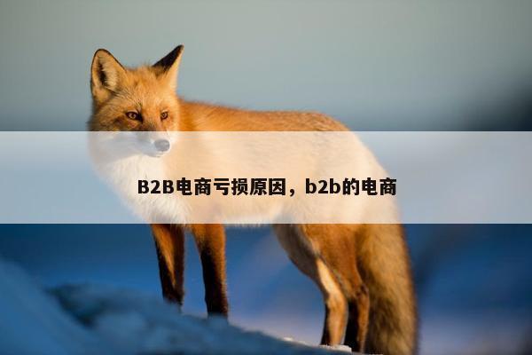 B2B电商亏损原因,b2b的电商 B2B电商亏损原因,b2b的电商