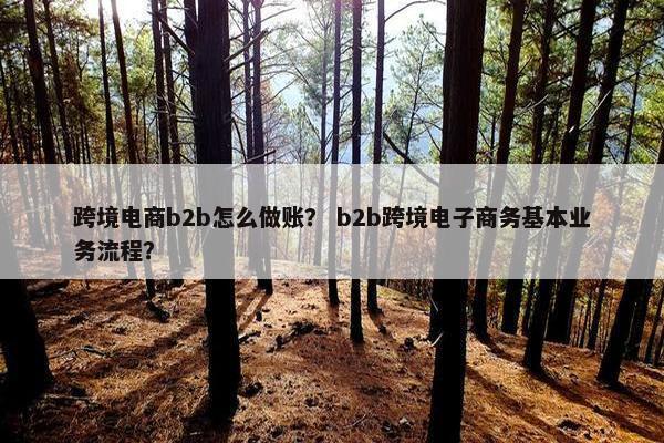 跨境电商b2b怎么做账？ b2b跨境电子商务基本业务流程？