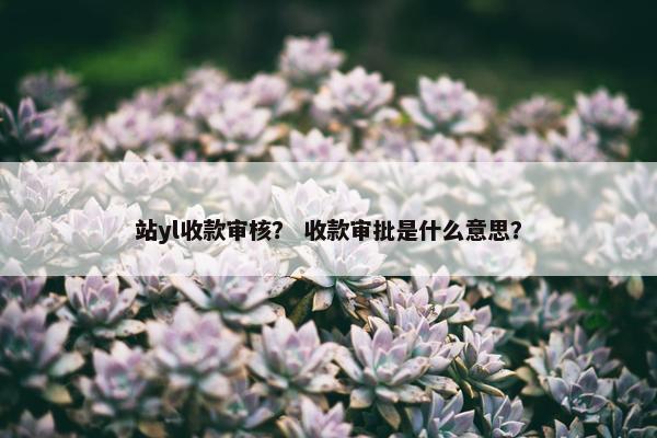 站yl收款审核? 收款审批是什么意思?