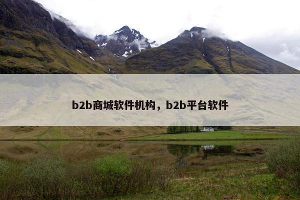 b2b商城软件机构，b2b平台软件