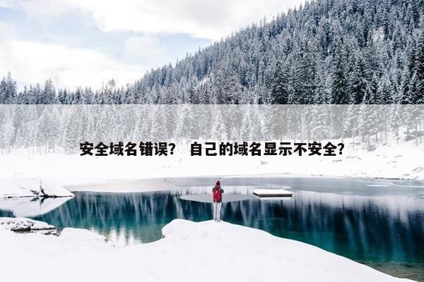 安全域名错误? 自己的域名显示不安全? 安全域名错误? 自己的域名显示不安全?