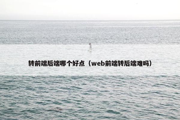 转前端后端哪个好点（web前端转后端难吗）