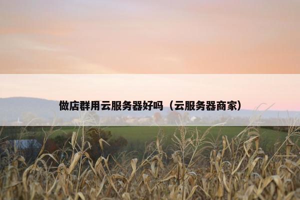 做店群用云服务器好吗(云服务器商家)