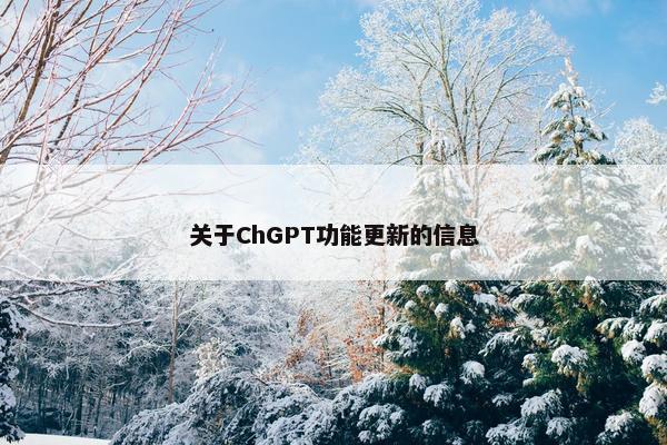 关于ChGPT功能更新的信息 关于ChGPT功能更新的信息