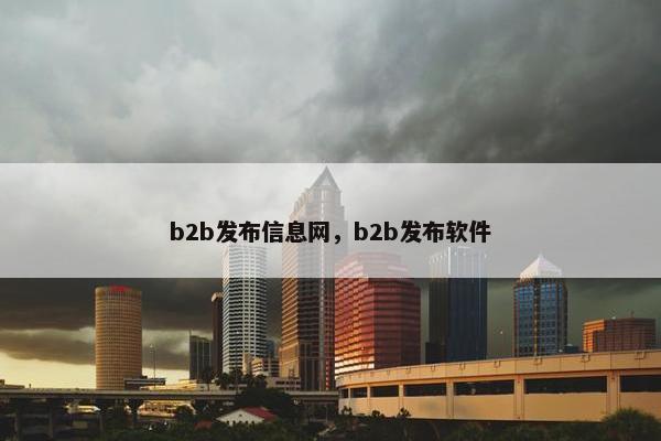 b2b发布信息网,b2b发布软件
