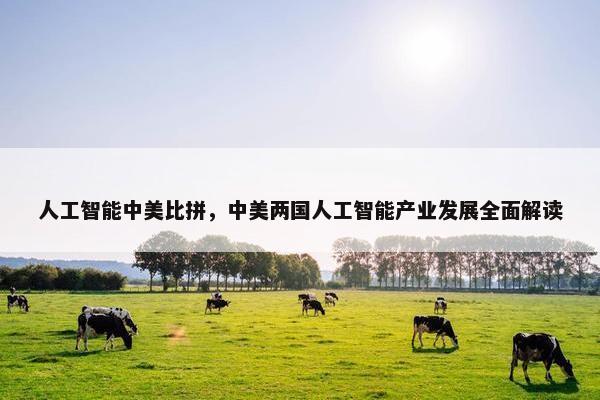人工智能中美比拼，中美两国人工智能产业发展全面解读