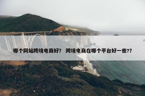 哪个网站跨境电商好? 跨境电商在哪个平台好一些??