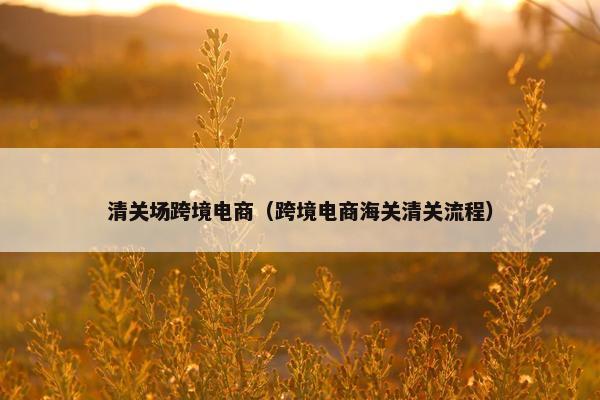 清关场跨境电商(跨境电商海关清关流程)